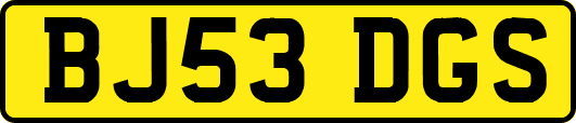 BJ53DGS
