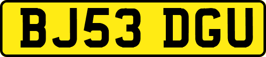 BJ53DGU