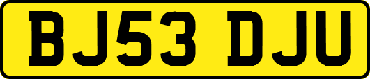 BJ53DJU