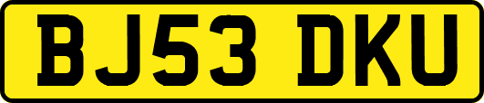 BJ53DKU