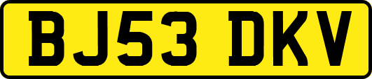 BJ53DKV
