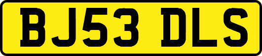 BJ53DLS