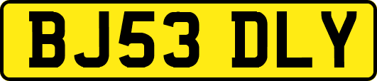BJ53DLY