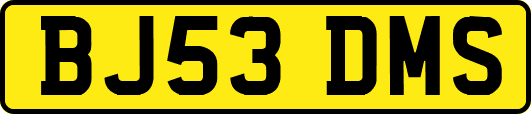 BJ53DMS
