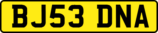 BJ53DNA