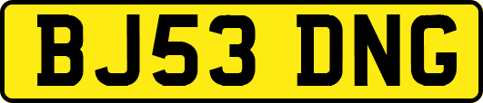 BJ53DNG