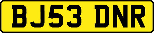 BJ53DNR