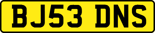 BJ53DNS