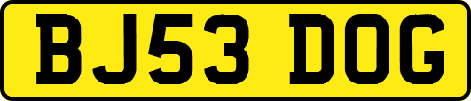 BJ53DOG