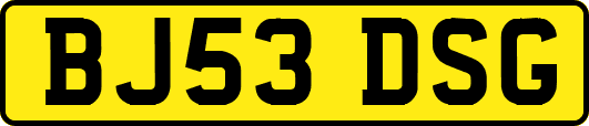 BJ53DSG