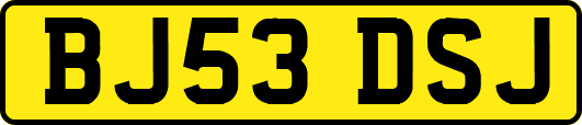 BJ53DSJ