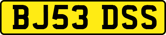 BJ53DSS