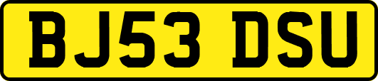 BJ53DSU