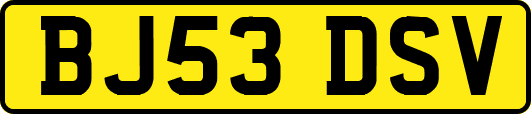 BJ53DSV