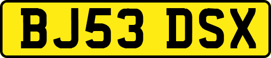 BJ53DSX
