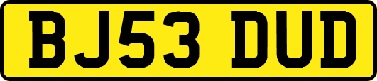 BJ53DUD