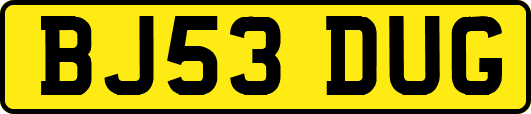 BJ53DUG
