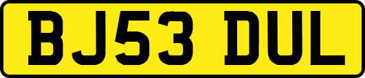 BJ53DUL