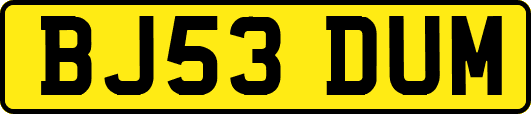 BJ53DUM