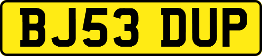 BJ53DUP