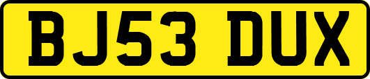BJ53DUX