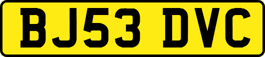 BJ53DVC