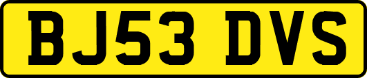 BJ53DVS