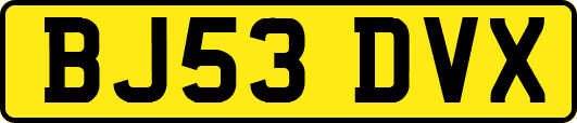 BJ53DVX