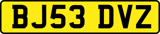 BJ53DVZ