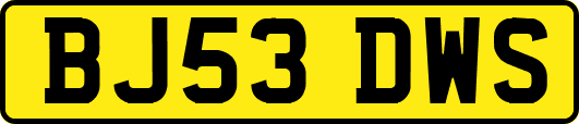 BJ53DWS