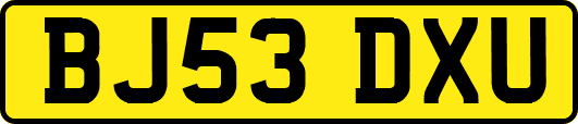 BJ53DXU