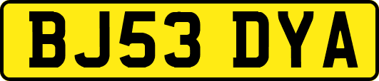 BJ53DYA