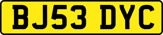BJ53DYC