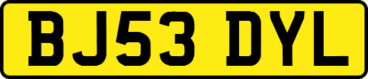 BJ53DYL