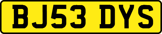 BJ53DYS