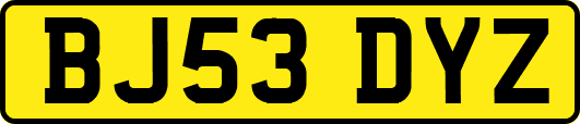 BJ53DYZ