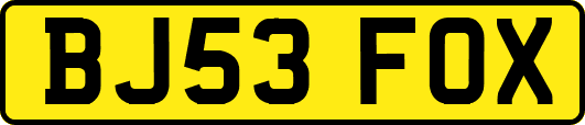 BJ53FOX