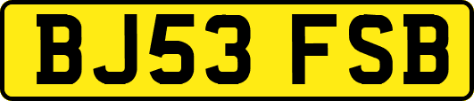 BJ53FSB