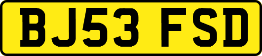 BJ53FSD