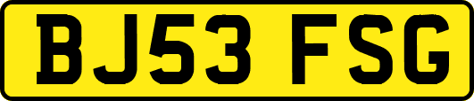 BJ53FSG