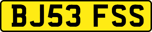 BJ53FSS