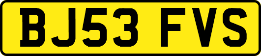 BJ53FVS