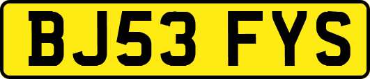 BJ53FYS