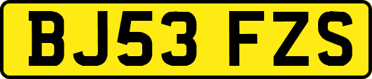 BJ53FZS