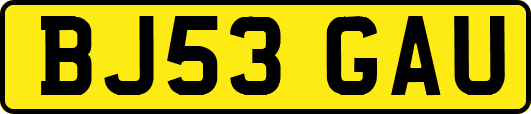 BJ53GAU