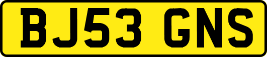 BJ53GNS