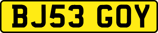BJ53GOY