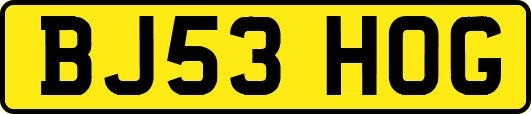 BJ53HOG