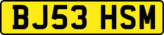 BJ53HSM