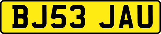BJ53JAU